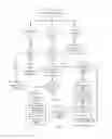 Fig. 03 - APPARATUS AND METHOD TO FACILITATE DOWNLOADING MOBILE SOFTWARE APPLICATIONS INTO A PORTABLE ELECTRONIC DEVICE, WHICH SOFTWARE APPLICATIONS INCLUDE ADVERTISEMENTS THAT ARE EMBEDDED WITHIN THE SOFTWARE APPLICATION AND ARE RE-TRANSMITTED TO OTHERS THROUGH USE OF THE PORTABLE ELECTRONIC DEVICE