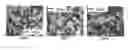 Fig. 01 - Chocolate product with cocoa particles as the emulsifying agent