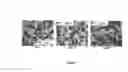 Fig. 04 - Chocolate product with cocoa particles as the emulsifying agent