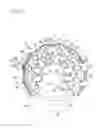 Fig. 11 - Conveyance device
