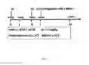 Fig. 02 - Allograft tolerance induction