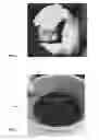 Fig. 02 - Biologic composition and method of manufacture