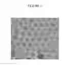 Fig. 02 - COMPOSITIONS AND METHODS FOR DELIVERING MESSENGER RNA