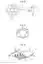 Fig. 04 - Antitelescoping device and clamp for spiral wound modules comprising a vent