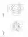 Fig. 06 - Discharge device and image forming apparatus