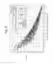 Fig. 06 - Pressure sensor having a bossed diaphragm
