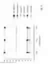 Fig. 04 - Catalyst and process for thermo-neutral reforming of liquid hydrocarbons