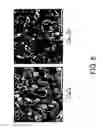 Fig. 07 - Method of synthesizing copper selenide powder