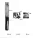 Fig. 09 - Manufacturing process for striae-free multicomponent chalcogenide glasses via multiple fining steps