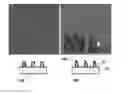 Fig. 01 - Method for manufacturing nanometric objects using the rupture of a layer deformed by wrinkles