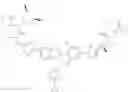 Fig. 265 - THIOPHENE-SUBSTITUTED TETRACYCLIC COMPOUNDS AND METHODS OFUSE THEREOF FOR THE TREATMENT OF VIRAL DISEASES