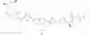 Fig. 366 - THIOPHENE-SUBSTITUTED TETRACYCLIC COMPOUNDS AND METHODS OFUSE THEREOF FOR THE TREATMENT OF VIRAL DISEASES