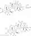 Fig. 13 - TACCALONOLIDE MICROTUBULE STABILIZERS