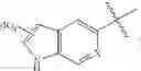 Fig. 26 - TACCALONOLIDE MICROTUBULE STABILIZERS