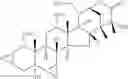 Fig. 55 - TACCALONOLIDE MICROTUBULE STABILIZERS