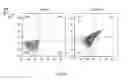 Fig. 06 - GENETICALLY ENGINEERED ENUCLEATED ERYTHROID CELLS COMPRISING A PHENYLALANINE AMMONIA LYASE RECEIVER POLYPEPTIDE