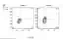 Fig. 07 - GENETICALLY ENGINEERED ENUCLEATED ERYTHROID CELLS COMPRISING A PHENYLALANINE AMMONIA LYASE RECEIVER POLYPEPTIDE
