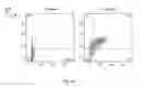 Fig. 08 - GENETICALLY ENGINEERED ENUCLEATED ERYTHROID CELLS COMPRISING A PHENYLALANINE AMMONIA LYASE RECEIVER POLYPEPTIDE