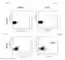 Fig. 04 - Xeno-free generation of tissue-specific progenitor cells
