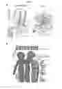 Fig. 02 - Reprogramming bone endothelial cells for use in bone angiogenesis and osteogenesis