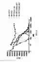 Fig. 07 - Compositions and methods of use of immunotoxins comprising ranpirnase (Rap) show potent cytotoxic activity