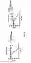 Fig. 09 - Compositions and methods of use of immunotoxins comprising ranpirnase (Rap) show potent cytotoxic activity