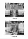 Fig. 06 - Enhanced Fermentation Process Using a Transglycosidase