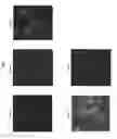 Fig. 02 - METHODS FOR WHOLE-CELL ANALYSIS OF GRAM-POSITIVE BACTERIA