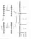 Fig. 04 - Methods for detection of nucleotide modification