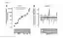 Fig. 03 - Compositions and methods for identification of relapse risk and treatment in patients with colorectal cancer