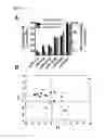 Fig. 05 - Compositions and methods for identification of relapse risk and treatment in patients with colorectal cancer