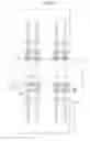 Fig. 08 - Column end joint structure