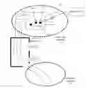 Fig. 01 - Facilitating location determination employing vehicle motion data