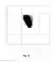 Fig. 13 - Method for determining volume and hemoglobin content of individual red blood cells