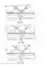 Fig. 05 - Microfluidic devices