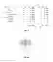 Fig. 06 - Determining the Credibility of an On-Line User's Review