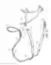 Fig. 07 - Pet leash