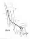 Fig. 08 - Pet leash