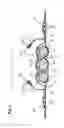 Fig. 04 - ABSORBENT ARTICLE WITH HIGH ABSORBENT MATERIAL CONTENT