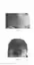 Fig. 02 - Use of a composition for the pigmentation of hair and hairs