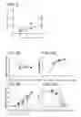 Fig. 08 - Biocompatible polymeric system for targeted treatment of thrombotic and hemostatic disorders