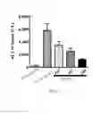 Fig. 02 - APPLICATION AND PHARMACEUTICAL COMPOSITION OF PREACTIVATED AND DISAGGREGATED SHAPE-CHANGED PLATELETS