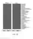Fig. 07 - MICROBIOME RESPONSE TO AGENTS