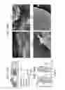 Fig. 42 - MICROBIOME RESPONSE TO AGENTS