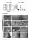 Fig. 44 - MICROBIOME RESPONSE TO AGENTS