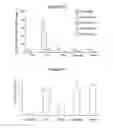 Fig. 09 - Method for treating inflammatory, allergic or asthma diseases, containing paprika extracts