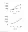 Fig. 06 - Pharmaceutical compositions having antibacterial, antiviral, and other immunostimulatory activities