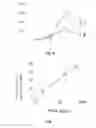 Fig. 09 - Pharmaceutical compositions having antibacterial, antiviral, and other immunostimulatory activities