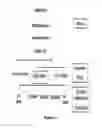 Fig. 02 - Composition comprising centipede grass extracts or fractions thereof as active ingredients