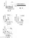 Fig. 07 - METHODS FOR TREATING LUNG DISEASE